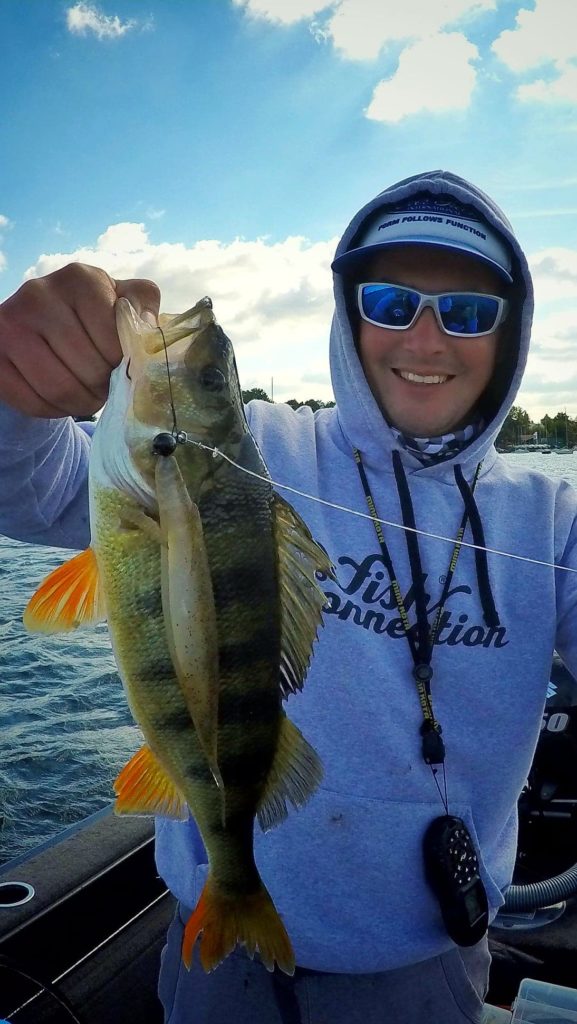 Le SAKAMATA SHAD de chez DEPS (Fishconnection)