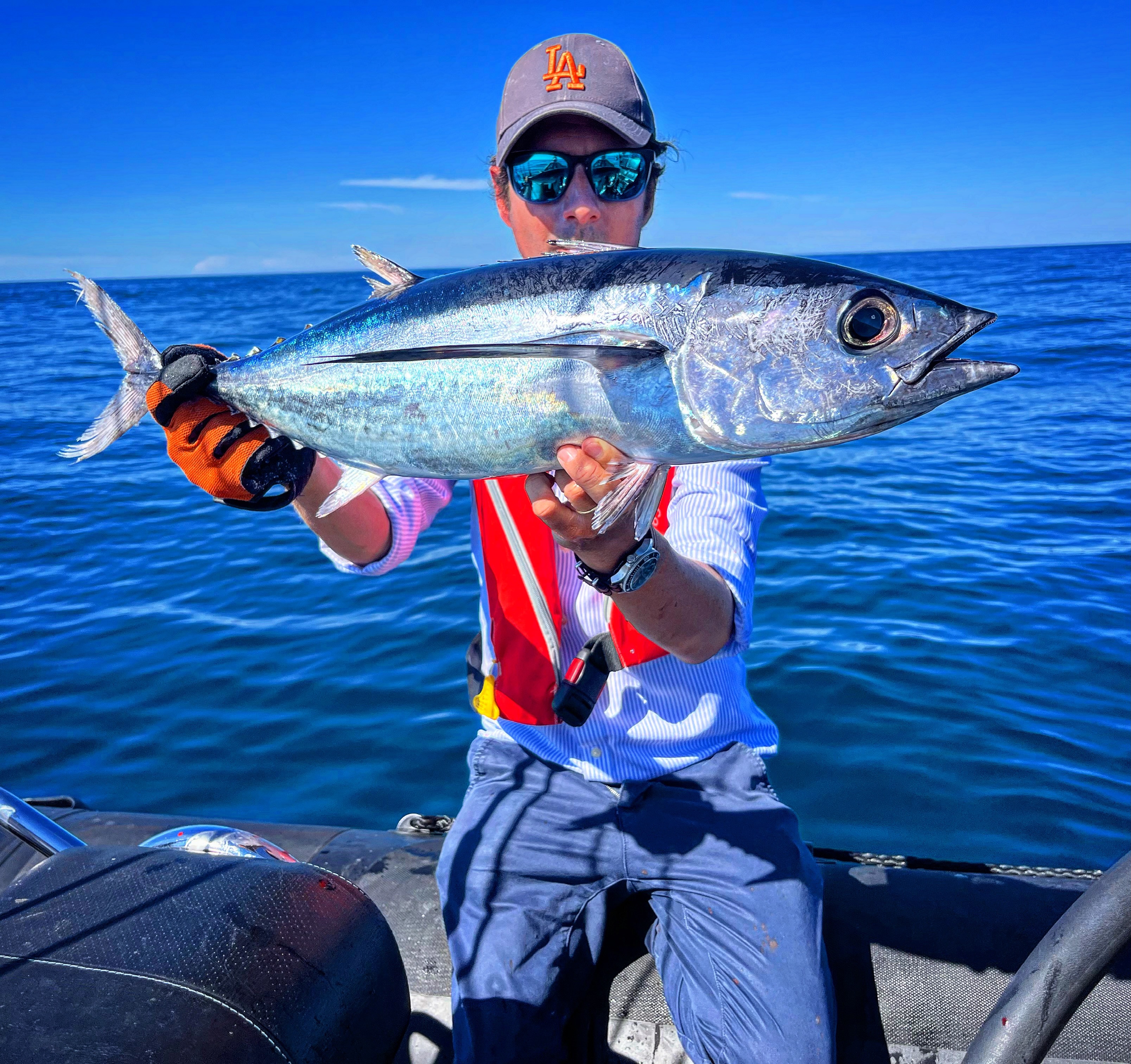 Sortie Thons blancs sur le pays basque