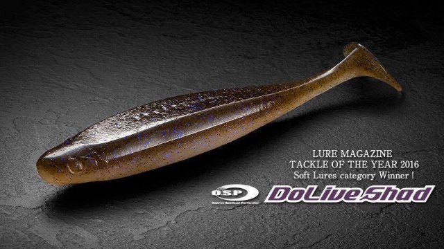 Le Dolive Shad à la loupe