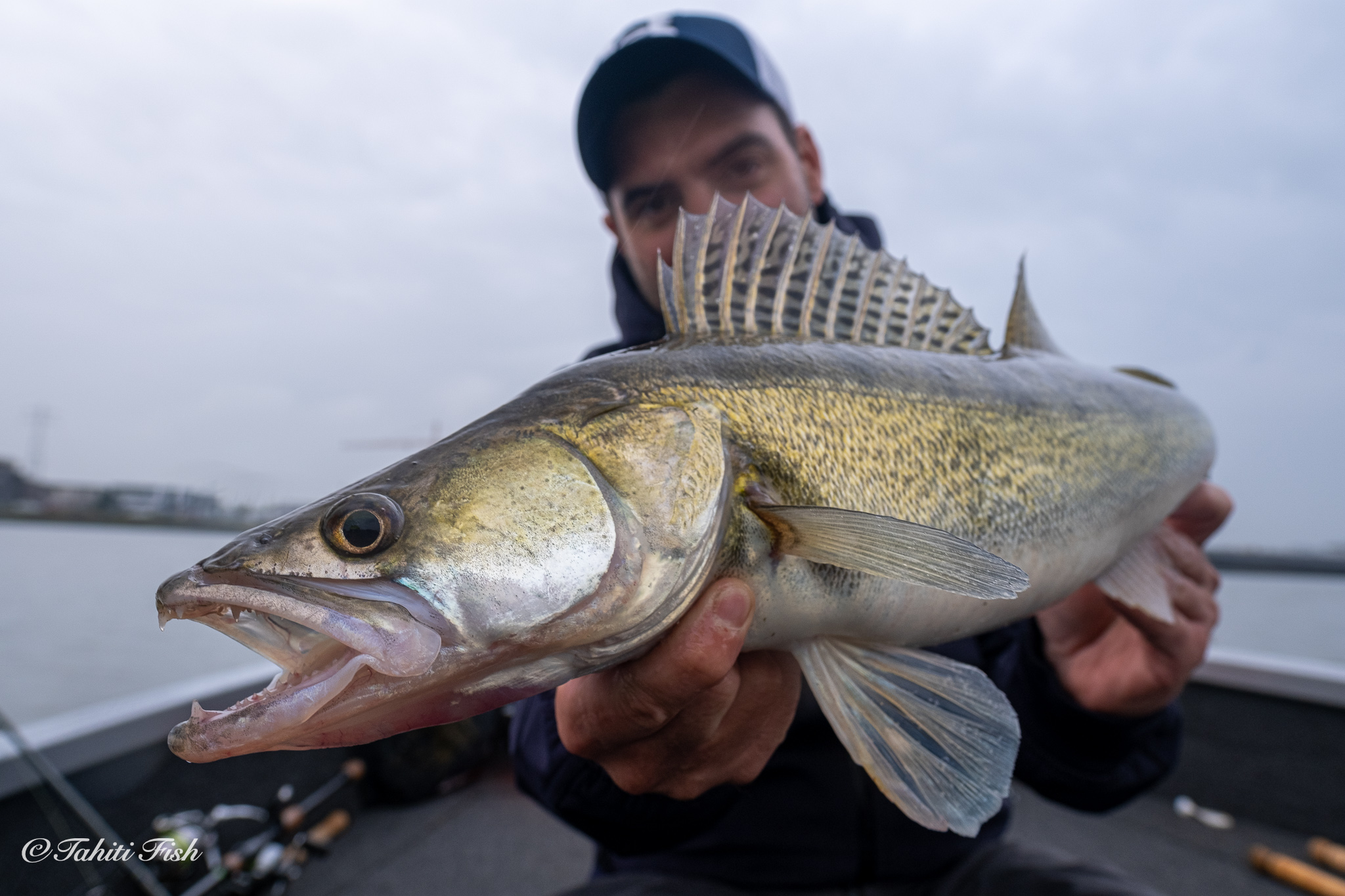 Le plaisir des pêches d'automne