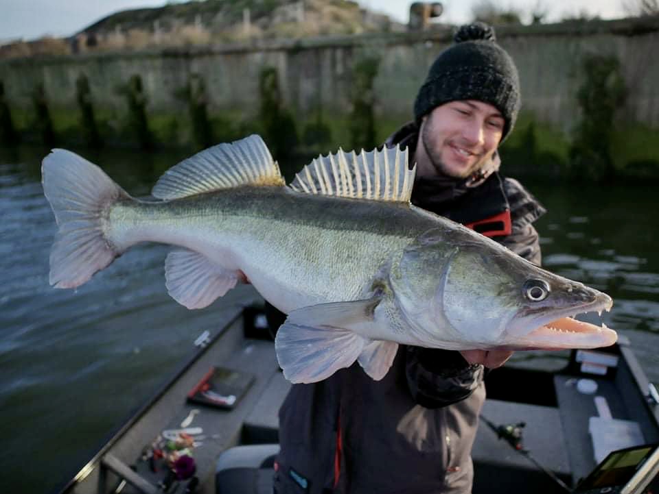 Une session sandre de rêve !