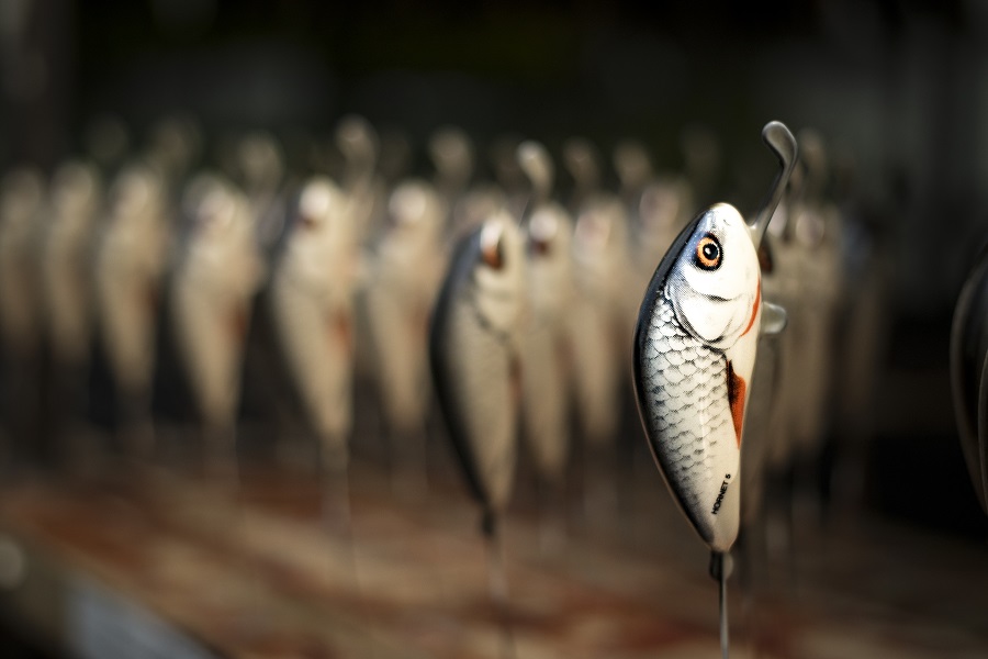 La fabrication d'un poisson-nageur Salmo
