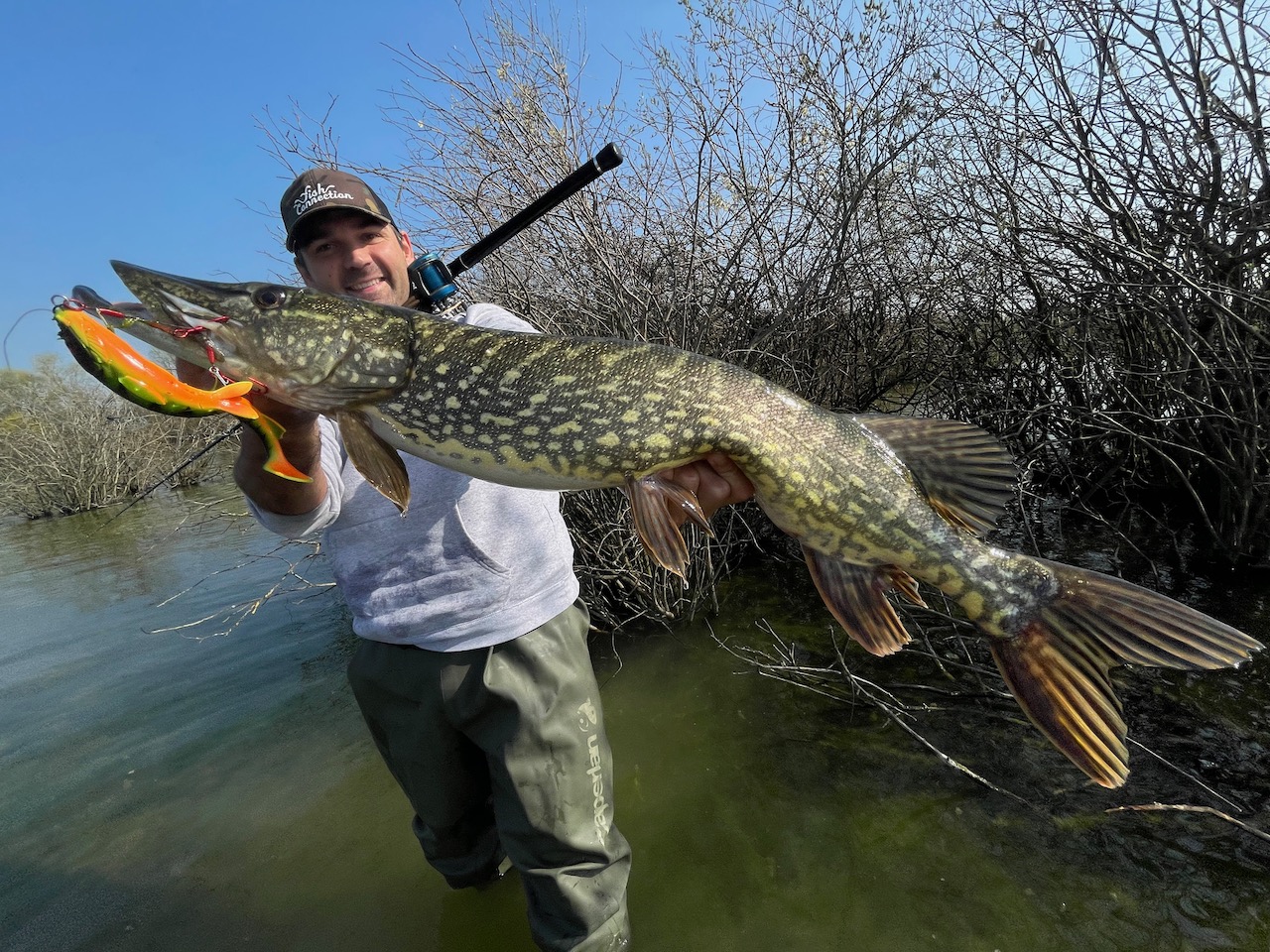 Avec quoi pêcher le brochet ? - Blog Pecheur.com