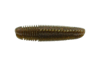 Mountain Shrimp