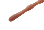 Original Earthworm