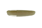 Hon Wakasagi