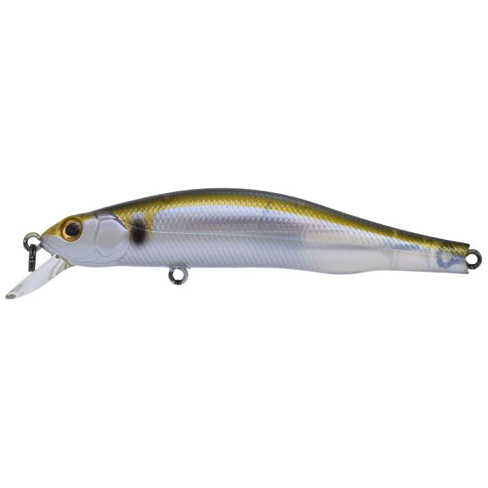 Ghost Threadfin Shad