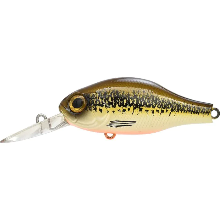 Minnow Ob Uv
