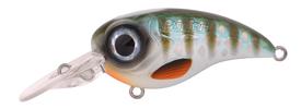 Herring
