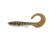 The Walleye