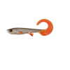 Real Roach