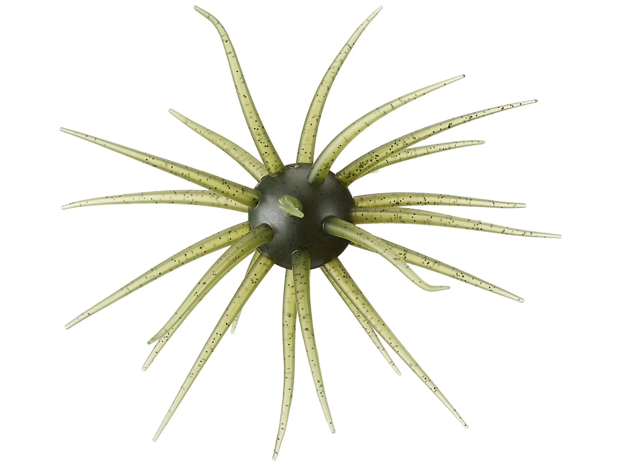 #102 Watermelon Seed