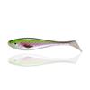 Rainbow Trout