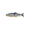 Whitefish