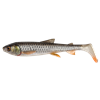 Roach