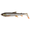 Roach