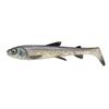 Whitefish
