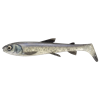 Whitefish