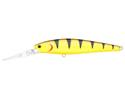 Tiger Perch