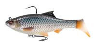 Roach