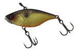 Muddy Roach