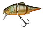 Agressive Perch