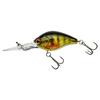 Perch Master