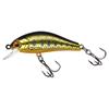 Acid Trout Gold