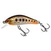 Orange Tag Trout