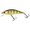 Wild Trout