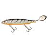 Silver Perch