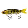 Gold Perch Orange