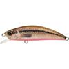 Vairon Red Belly