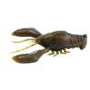 Grass Craw