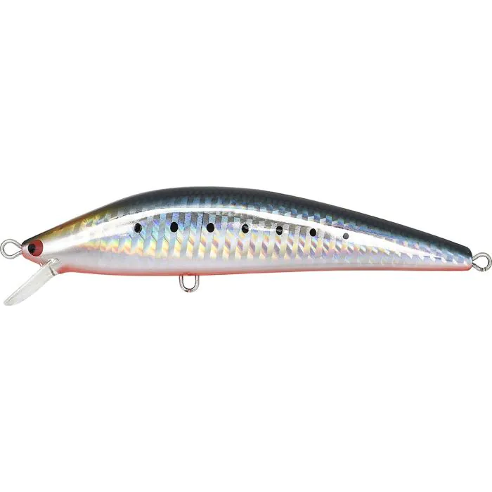 #112 Sardine Red Belly