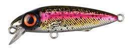 Rainbow Trout
