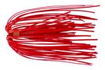 Red Shad