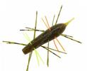#341 Crazy Bug