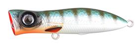 Herring