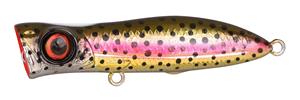 Rainbow Trout
