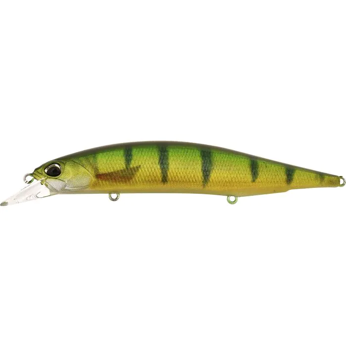CCC3864 Yellow Perch ND