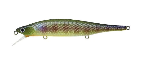 BE Gill
