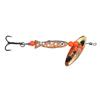 Salmon Trout