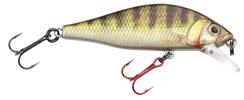 Zander