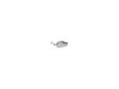 #43 Clear Water Shad