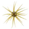 Coike Fullcast #102 Water Melon Seed