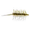 Coike Shrimp Magnum #208 Ayu