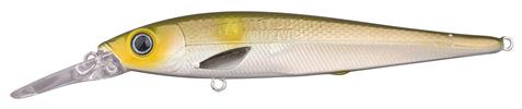 Ayu Minnow