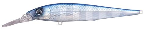 Aqua Minnow