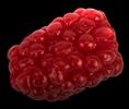 Raspberry